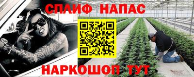 дживик Донской
